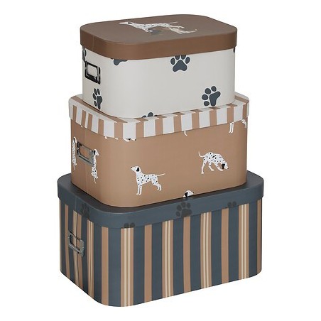 Lot de 3 boîtes chien Scott