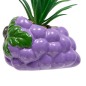 Plante raisin fruity 11cm