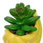 Plante banane fruity 11cm