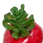 Plante fraise fruity 11cm