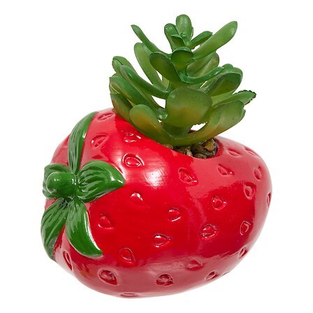 Plante fraise fruity 11cm
