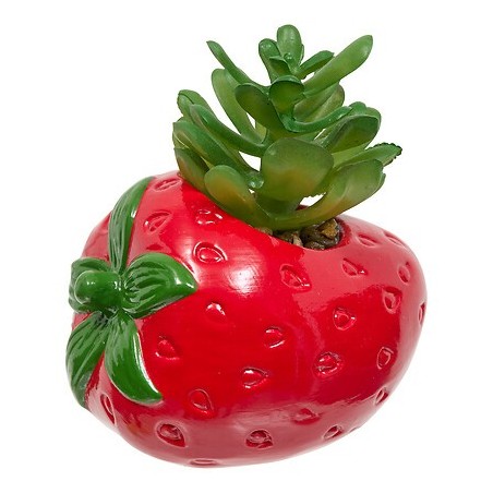 Plante fraise fruity 11cm