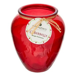 Bougie parfumée Fruity 550g citronnelle fraise