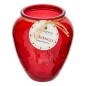 Bougie parfumée Fruity 550g citronnelle fraise