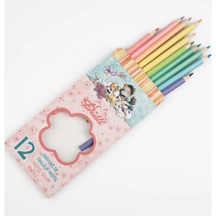 Boite de 12 crayons de couleur Diddl