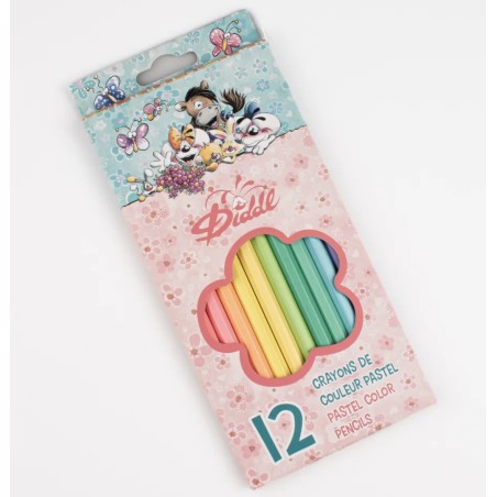 Boite de 12 crayons de couleur Diddl