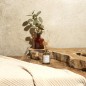 DIFFUSEUR SOFTNESS 50ML BOIS DE SANTAL