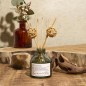 DIFFUSEUR SOFTNESS 100ML BOIS DE SANTAL