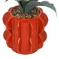 Agave Homy 27cm avec pot céramique orange