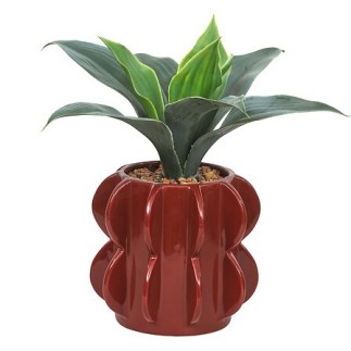 Agave Homy 27cm avec pot céramique marron