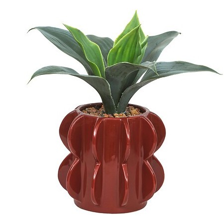 Agave Homy 27cm avec pot céramique marron