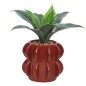 Agave Homy 27cm avec pot céramique marron