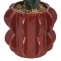 Agave Homy 27cm avec pot céramique marron