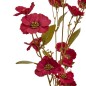 Tige anémone Crush 93cm bordeaux