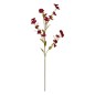 Tige anémone Crush 93cm bordeaux