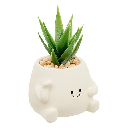 Plante Nippo 11cm avec pot visage ciment