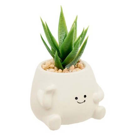 Plante Nippo 11cm avec pot visage ciment