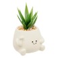 Plante Nippo 11cm avec pot visage ciment