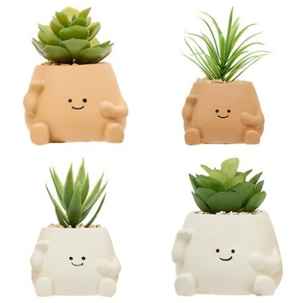 Plante Nippo 11cm avec pot visage ciment