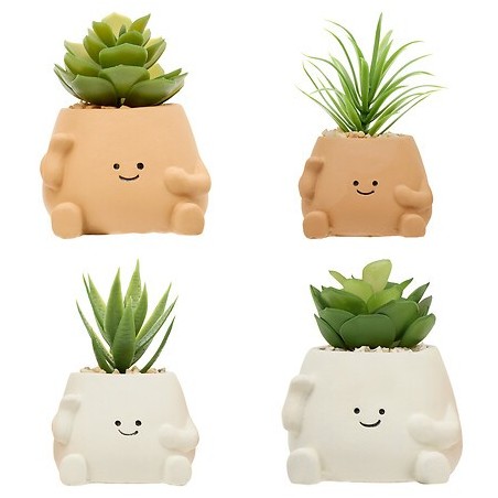 Plante Nippo 11cm avec pot visage ciment