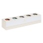 Coffret 5 bougies parfumées Odyssea 85g pot verre