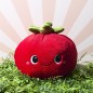 PELUCHE TOMATE KAWAII