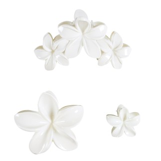 PINCES A CHEVEUX X3 N°1