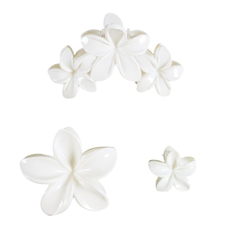 PINCES A CHEVEUX X3 N°1