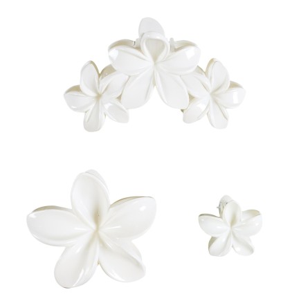 PINCES A CHEVEUX X3 N°1