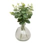 Compo eucalyptus vase verre