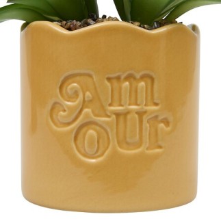 Plante vivace Chéri Amour