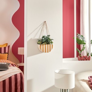 Plante suspendue Chéri jaune