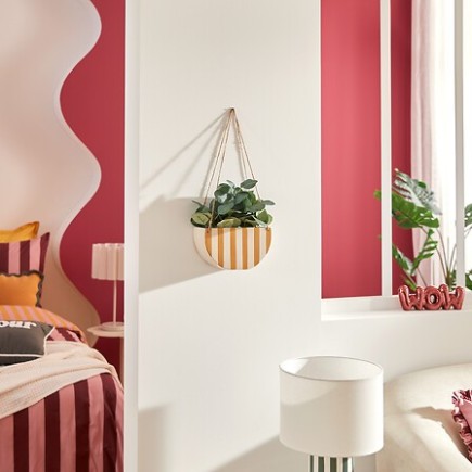 Plante suspendue Chéri jaune