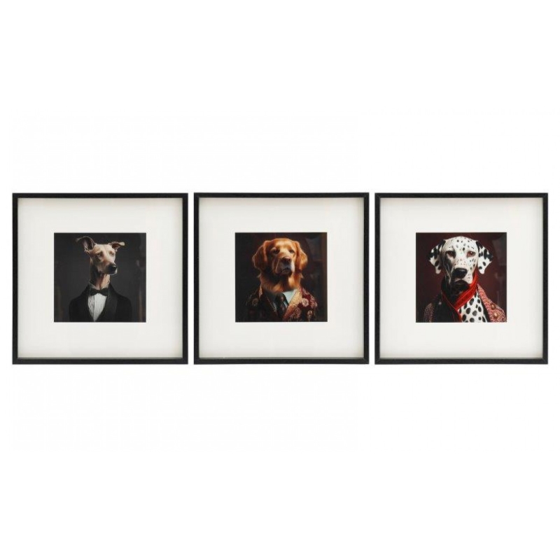 Cadre Chien Aristocrate 40x40cm