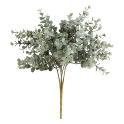 Bouquet d'eucalyptus James...