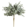 Bouquet d'eucalyptus James haut 30 cm