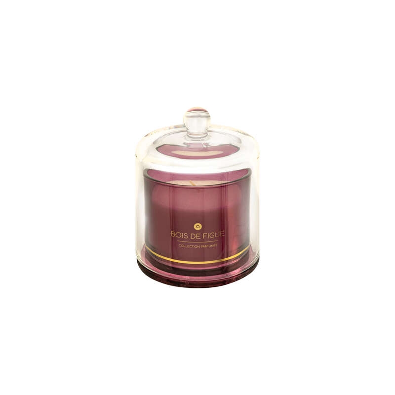 Bougie parfumée Ilae 240 g cloche verre figue