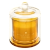 Bougie parfumée Ilae 240 g cloche verre vanille