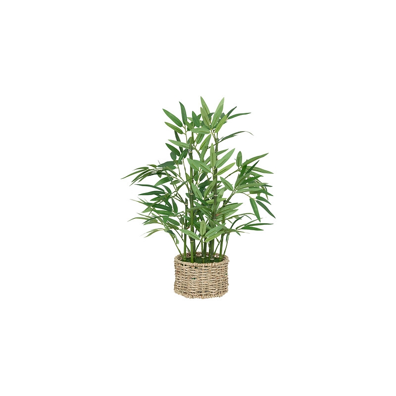 Bambou Ly haut 46 cm avec pot matériau naturel