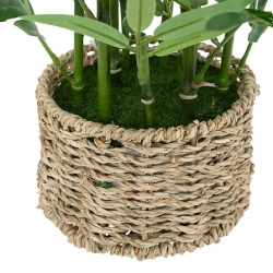 Bambou Ly haut 46 cm avec pot matériau naturel