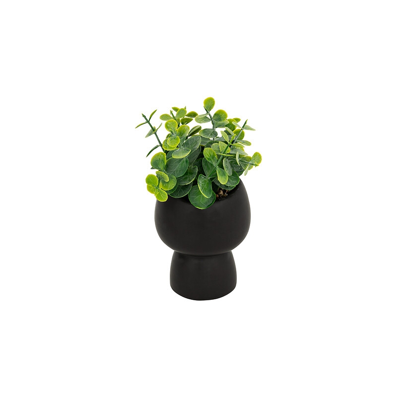 Plante grasse Livy haut 17 cm avec pot céramique