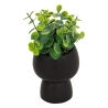 Plante grasse Livy haut 17 cm avec pot céramique