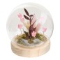 Compo fleurs séchées Stila globe LED rose Compo fleurs séchées Stila globe LED rose