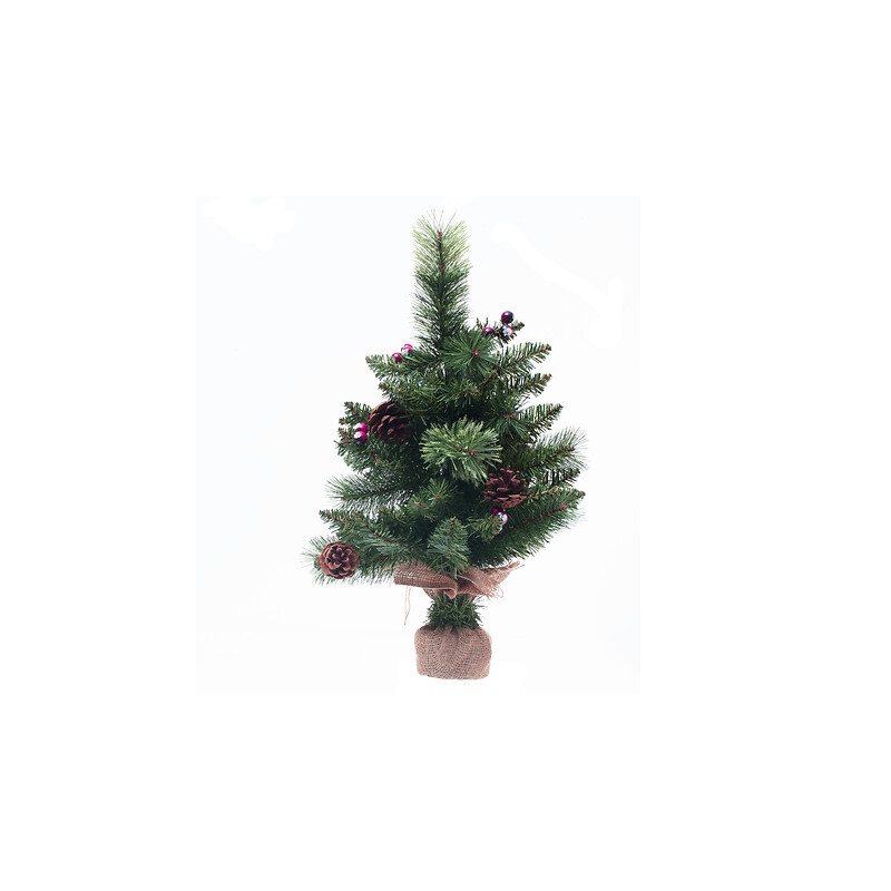 Sapin Wyoming 50 cm