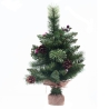 Sapin Wyoming 50 cm