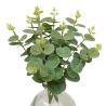 Composition eucalyptus Urice haut 35 cm avec vase verre