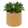 Plante vivace Chéri haut 17 cm pot céramique AMOUR