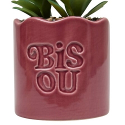 Plante vivace Chéri haut 17 cm pot céramique BISOU