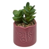 Plante vivace Chéri haut 17 cm pot céramique BISOU