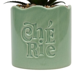 Plante vivace Chéri haut 17 cm pot céramique CHERIE